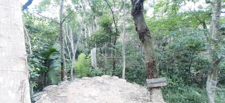 Imagem Terreno à Venda, 4.163 m² em Vargem Grande - Florianópolis Imagem Terreno à Venda, 4.163 m² em Vargem Grande - Florianópolis