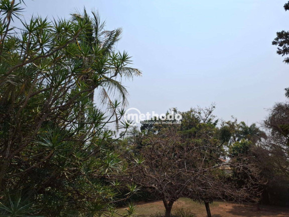 Imagem Terreno à Venda, 5.086 m² em Taquaral - Campinas Imagem Terreno à Venda, 5.086 m² em Taquaral - Campinas