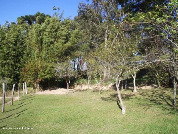 Imagem Terreno à Venda, em Bairro Vila Darcy Penteado - São Roque Imagem Terreno à Venda, em Bairro Vila Darcy Penteado - São Roque