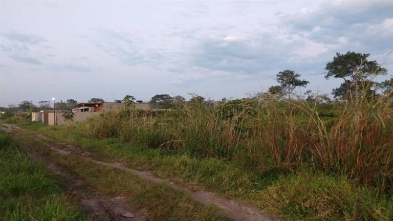 Imagem Terreno à Venda, 2.000 m² em Estancia Leao Novaes - Peruibe Imagem Terreno à Venda, 2.000 m² em Estancia Leao Novaes - Peruibe