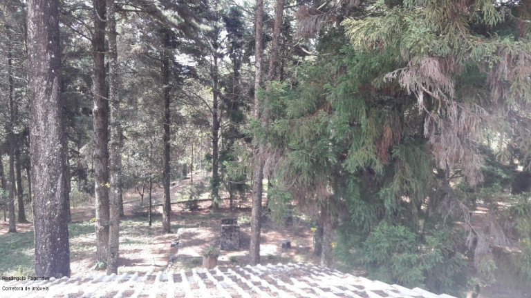 Imagem Imóvel com 3 Quartos à Venda, em Morada Dos Pássaros - Poços De Caldas Imagem Imóvel com 3 Quartos à Venda, em Morada Dos Pássaros - Poços De Caldas