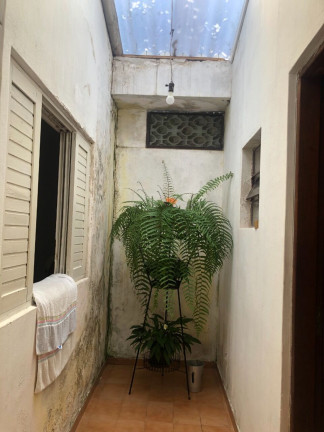 Imagem Casa com 4 Quartos à Venda, 350 m² em Vila Assis Brasil - Mauá