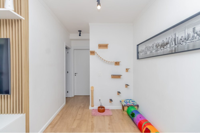Imagem Apartamento com 2 Quartos à Venda, 64 m² em água Branca - São Paulo Imagem Apartamento com 2 Quartos à Venda, 64 m² em água Branca - São Paulo