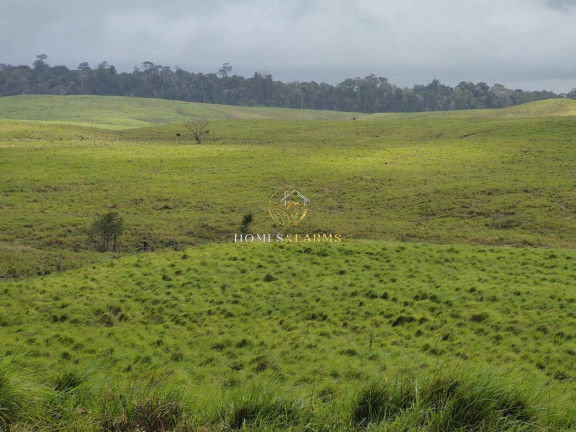 Imagem Imóvel com 3 Quartos à Venda, 4.646 m² em Centro - Tomé-açu Imagem Imóvel com 3 Quartos à Venda, 4.646 m² em Centro - Tomé-açu