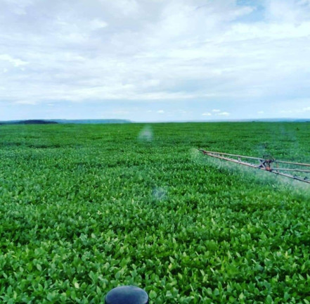 Imagem Fazenda à Venda,  em Poxoréo