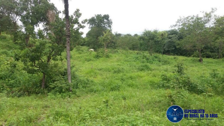 Fazenda à Venda, 34 m² em Zona Rural - Faina