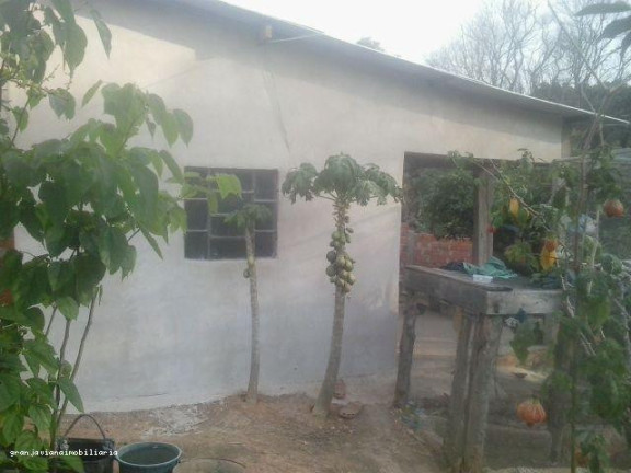 Imagem Chácara à Venda,  em Consultar - Ibiúna