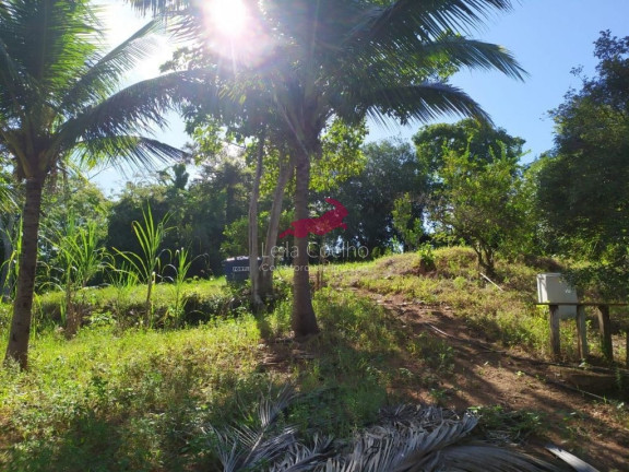 Imagem Chácara com 1 Quarto à Venda, 2.335 m² em São Caetano - Italva