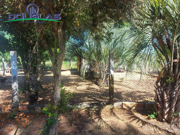 Imagem Chácara com 2 Quartos à Venda, 11.000 m² em Viamão Imagem Chácara com 2 Quartos à Venda, 11.000 m² em Viamão
