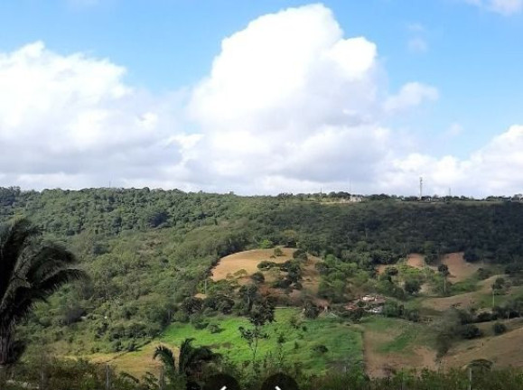 Imagem Terreno à Venda, 588 m² em Zona Rural - Bananeiras