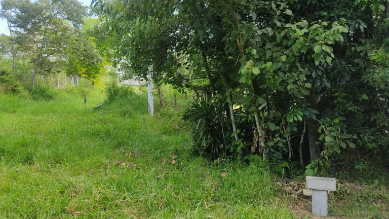 Imagem Chácara à Venda, 5 m² em Bairro Do Cercado - Araçoiaba Da Serra Imagem Chácara à Venda, 5 m² em Bairro Do Cercado - Araçoiaba Da Serra