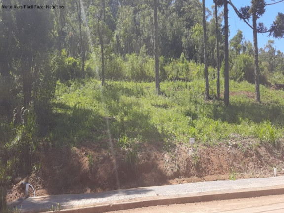 Imagem Terreno à Venda, 398 m² em Linha Imperial - Nova Petrópolis