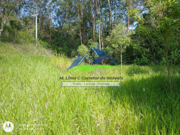 Imagem Terreno em Condomínio à Venda, 5.000 m² em Recanto Dos Palmares - Atibaia Imagem Terreno em Condomínio à Venda, 5.000 m² em Recanto Dos Palmares - Atibaia
