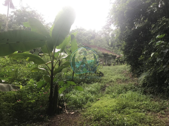 Imagem Terreno à Venda, 200 m² em Horto Figueira - Ubatuba Imagem Terreno à Venda, 200 m² em Horto Figueira - Ubatuba