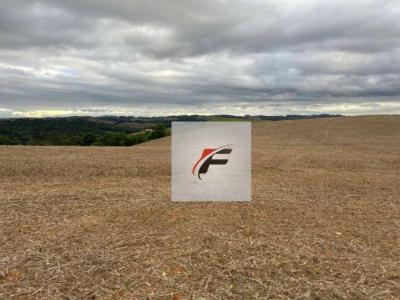 Imagem Chácara à Venda, 168.432 m² em Zona Rural - Quitandinha Imagem Chácara à Venda, 168.432 m² em Zona Rural - Quitandinha