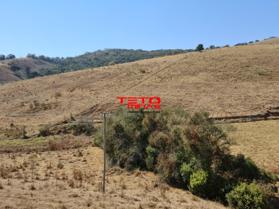 Imagem Imóvel com 2 Quartos à Venda, em Zona Rural De Pouso Alto - Mg - Pouso Alto Imagem Imóvel com 2 Quartos à Venda, em Zona Rural De Pouso Alto - Mg - Pouso Alto