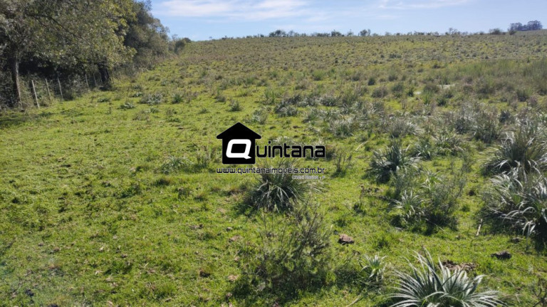 Imagem Imóvel à Venda, 5.200.000 m² em Centro - Bagé