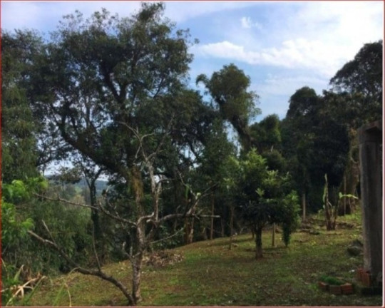 Imagem Casa com 2 Quartos à Venda, 323 m² em Logradouro - Nova Petrópolis