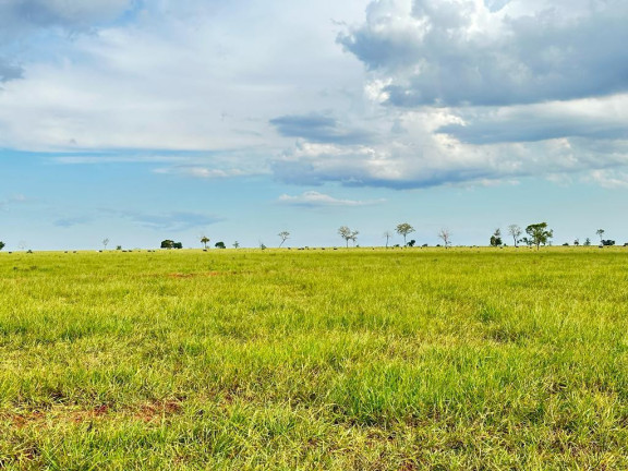 Imagem Fazenda à Venda, 5.793 m² em Rural - Nova Andradina Imagem Fazenda à Venda, 5.793 m² em Rural - Nova Andradina