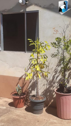 Imagem Casa com 2 Quartos à Venda, 180 m² em Conjunto Habitacional Osvaldo Del Fiol - Tatuí