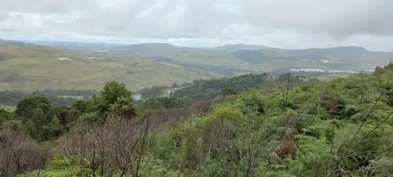 Imagem Imóvel à Venda, 35.000 m² em Vila Francioni - Sao Joaquim Imagem Imóvel à Venda, 35.000 m² em Vila Francioni - Sao Joaquim