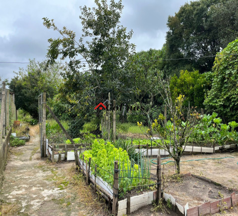 Imagem Imóvel com 2 Quartos à Venda, 2.000 m² em Depois Do Centro - Ibiúna Imagem Imóvel com 2 Quartos à Venda, 2.000 m² em Depois Do Centro - Ibiúna