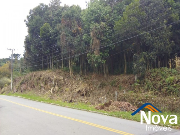 Imagem Imóvel à Venda, 698 m² em Vila Olinda - Nova Petrópolis Imagem Imóvel à Venda, 698 m² em Vila Olinda - Nova Petrópolis