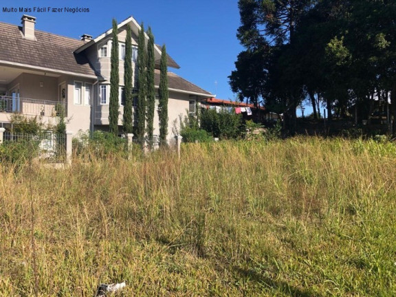 Imagem Terreno à Venda, 450 m² em Pousada Da Neve - Nova Petrópolis Imagem Terreno à Venda, 450 m² em Pousada Da Neve - Nova Petrópolis