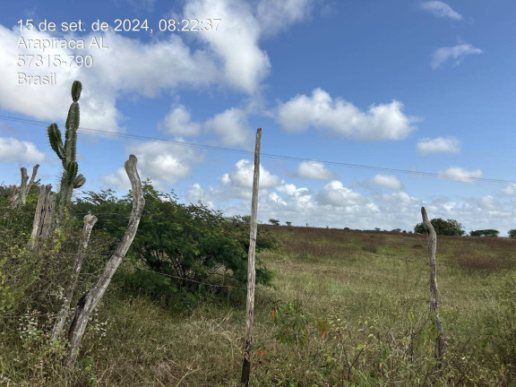 Imagem Chácara à Venda, 8 m² em Senador Arnon De Melo - Arapiraca Imagem Chácara à Venda, 8 m² em Senador Arnon De Melo - Arapiraca