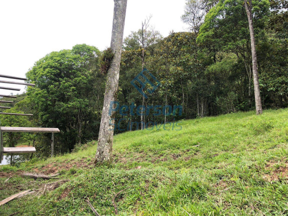Imagem Chácara com 3 Quartos à Venda, 1.200.000 m² em Lageado Alto - Guabiruba