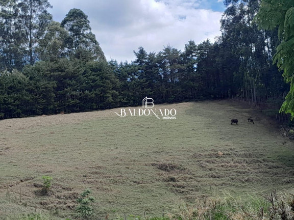 Terreno à Venda, 6.000 m² em Camanducaia - Camanducaia