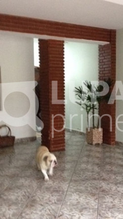 Imagem Casa com 3 Quartos à Venda, 133 m² em Jardim Guanca - São Paulo