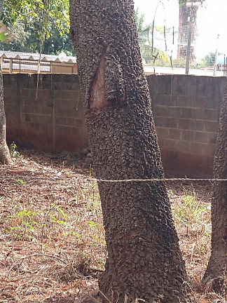 Imagem Terreno à Venda, 5.000 m² em Recanto Princesa Isabel - Ribeirão Preto Imagem Terreno à Venda, 5.000 m² em Recanto Princesa Isabel - Ribeirão Preto