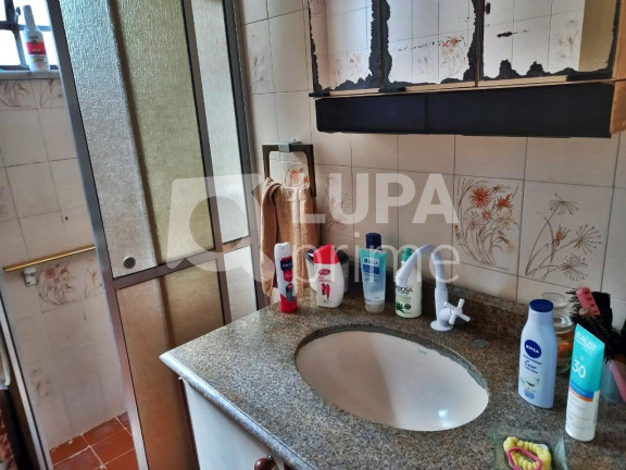 Imagem Casa com 3 Quartos à Venda, 120 m² em Vila Constança - São Paulo Imagem Casa com 3 Quartos à Venda, 120 m² em Vila Constança - São Paulo