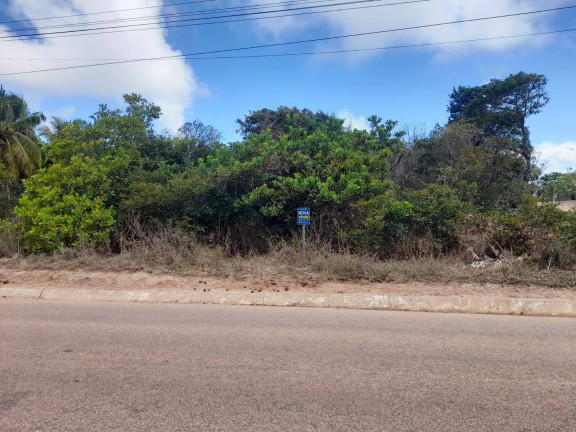 Imagem Terreno à Venda, 1.000 m² em Praia De Sibaúma - Tibau Do Sul Imagem Terreno à Venda, 1.000 m² em Praia De Sibaúma - Tibau Do Sul