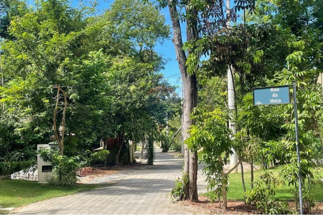 Imagem Terreno à Venda, 450 m² em Mata De São João - Mata De São João Imagem Terreno à Venda, 450 m² em Mata De São João - Mata De São João