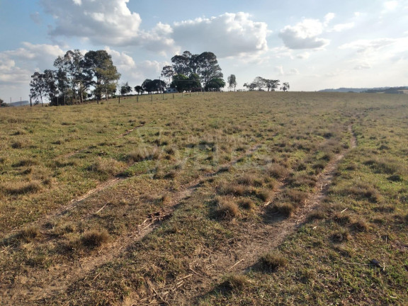 Imagem Imóvel à Venda, 242.000 m² em Santa Cruz Dos Matos - Itapetininga