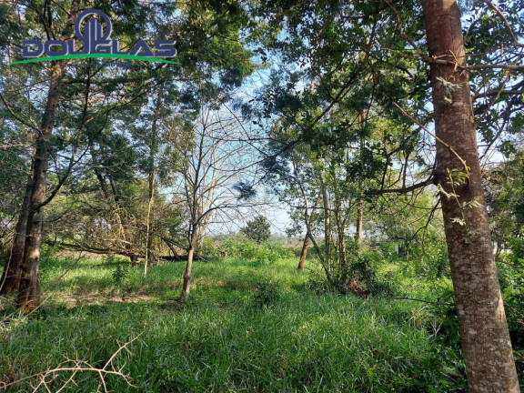 Imagem Terreno à Venda, 700 m² em Viamão Imagem Terreno à Venda, 700 m² em Viamão