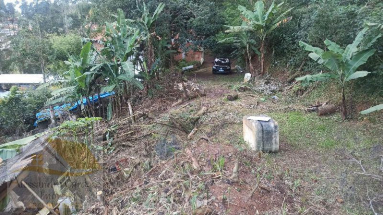 Imagem Terreno à Venda, 7.800 m² Imagem Terreno à Venda, 7.800 m²