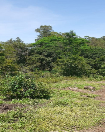 Imagem Imóvel com 1 Quarto à Venda,  em Vila Rica - Presidente Lucena