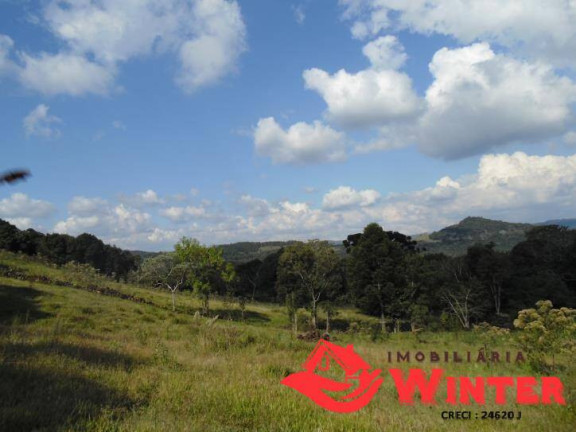 Imagem Chácara com 3 Quartos à Venda, 150 m² em Morro Gaúcho - Vale Real Imagem Chácara com 3 Quartos à Venda, 150 m² em Morro Gaúcho - Vale Real