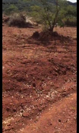 Imagem Imóvel à Venda, 