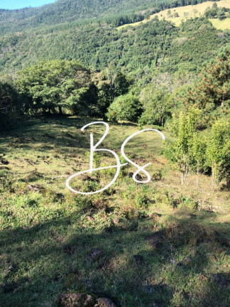 Imagem Imóvel com 2 Quartos à Venda, 240.000 m² em Padilha - São Francisco De Paula