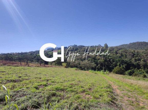 Imagem Terreno à Venda, 3.690 m² em Piedade