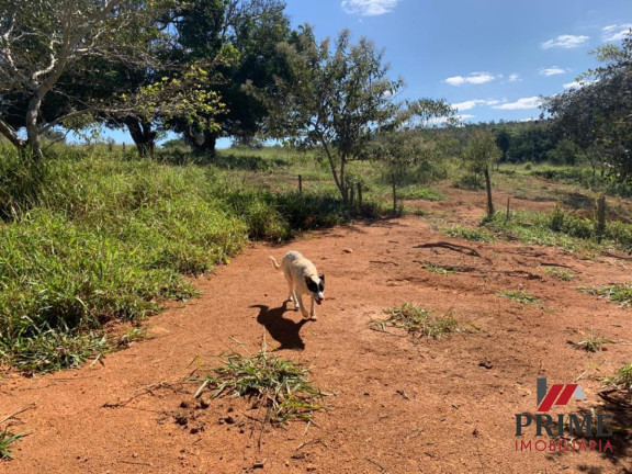 Imagem Terreno à Venda, 1.193 m² em Centro - Baldim Imagem Terreno à Venda, 1.193 m² em Centro - Baldim