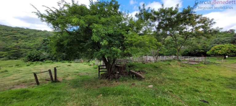 Imagem Imóvel à Venda, 290.400 m² em Amizade - Jandaia Do Sul Imagem Imóvel à Venda, 290.400 m² em Amizade - Jandaia Do Sul