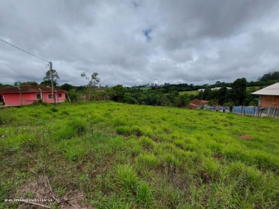 Imagem Terreno à Venda, em Bairro Da Vargem Do Salto - Ibiúna Imagem Terreno à Venda, em Bairro Da Vargem Do Salto - Ibiúna