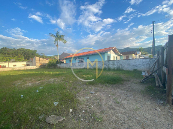 Imagem Casa com 3 Quartos à Venda, 450 m² em Vila Nova - Porto Belo