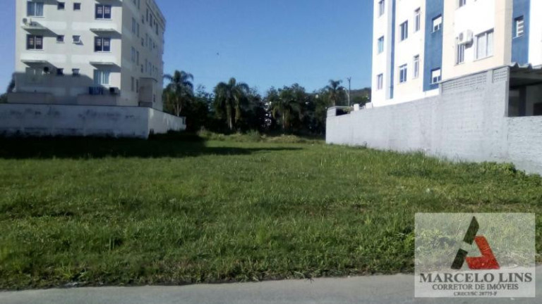 Imagem Terreno à Venda, 450 m² em Pedra Branca - Palhoça Imagem Terreno à Venda, 450 m² em Pedra Branca - Palhoça