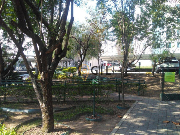 Imagem Apartamento com 2 Quartos para Alugar, 50 m² em Villa Branca - Jacareí Imagem Apartamento com 2 Quartos para Alugar, 50 m² em Villa Branca - Jacareí